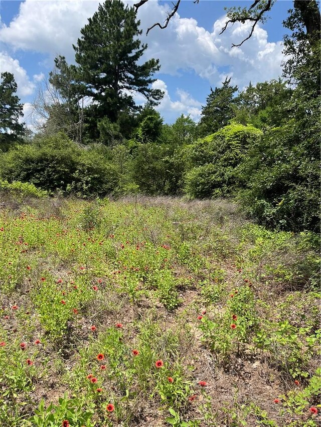 8647 County Road 342, Milano, TX 76556 - photo 7