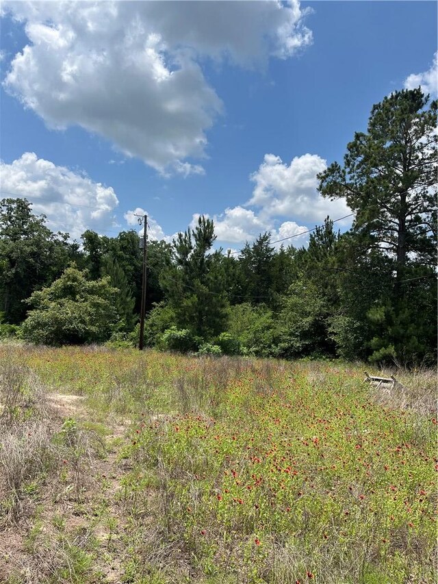 8647 County Road 342, Milano, TX 76556 - photo 6