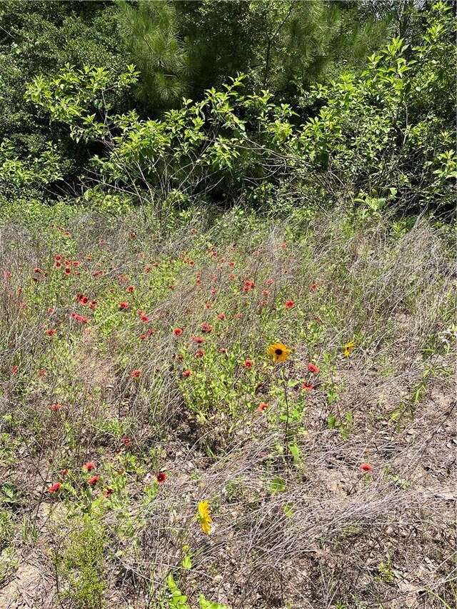 8647 County Road 342, Milano, TX 76556 - photo 8