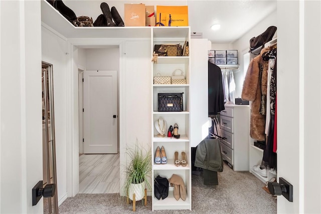 spacious closet with light carpet