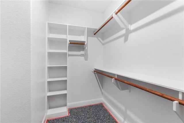 view of walk in closet