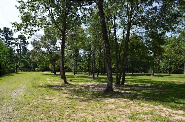 7114 Millstone Dr, Navasota, TX 77868 - photo 3