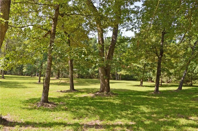 7114 Millstone Dr, Navasota, TX 77868 - photo 16