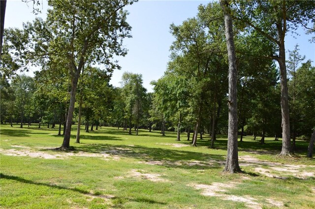 7114 Millstone Dr, Navasota, TX 77868 - photo 9