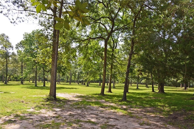 7114 Millstone Dr, Navasota, TX 77868 - photo 13