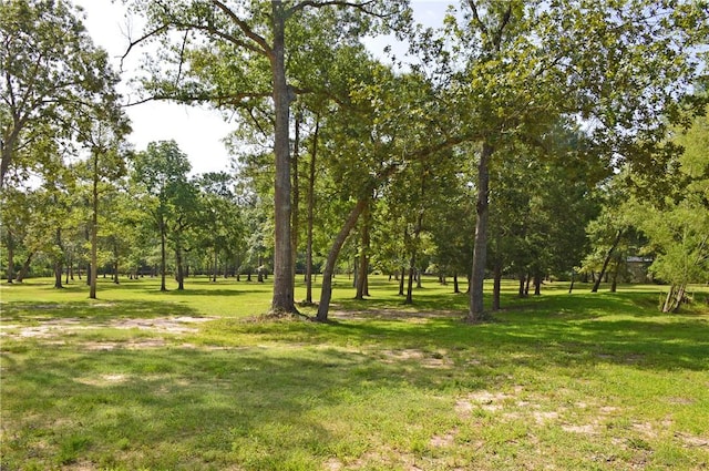7114 Millstone Dr, Navasota, TX 77868 - photo 20