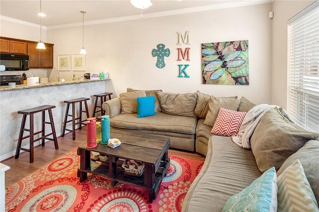 living room featuring dark hardwood / wood-style flooring and crown molding