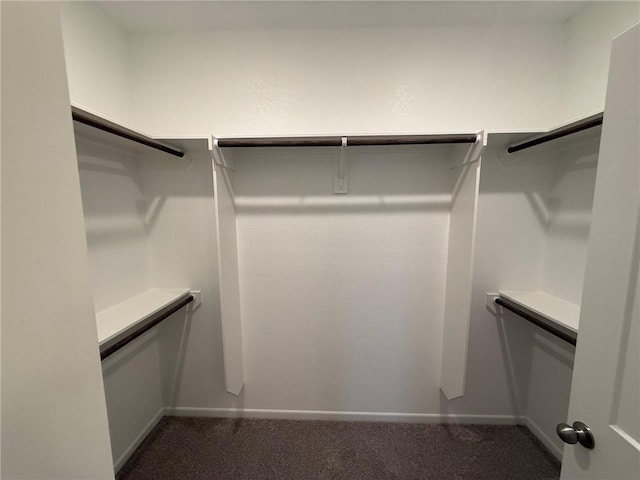 spacious closet with dark colored carpet