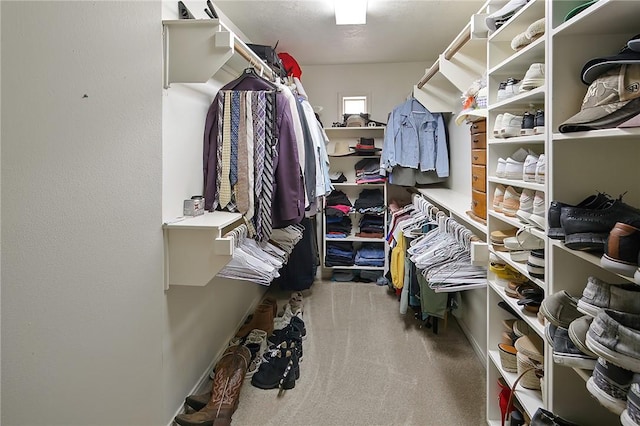 spacious closet featuring carpet flooring