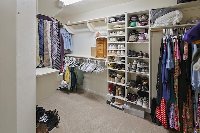 walk in closet with carpet floors