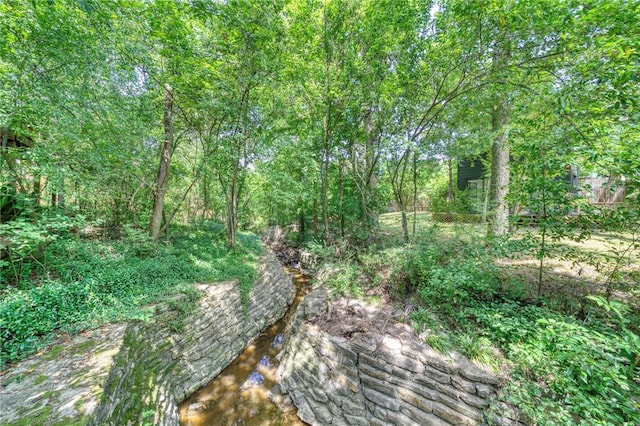 1511 Wolf Run, College Station, TX 77840 - photo 44