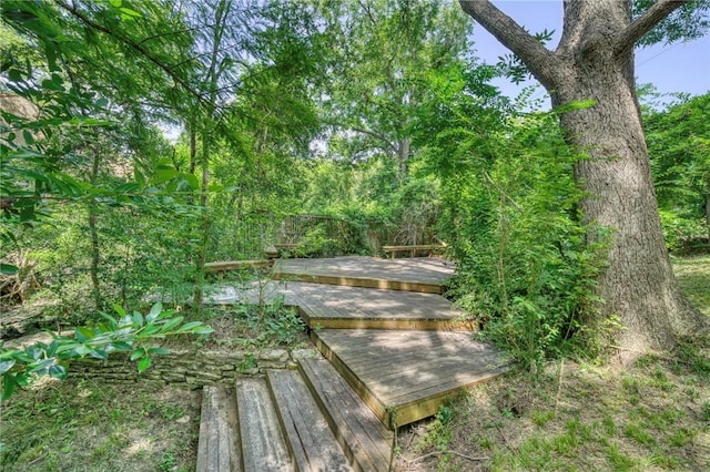 1511 Wolf Run, College Station, TX 77840 - photo 43