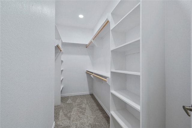 walk in closet with light colored carpet