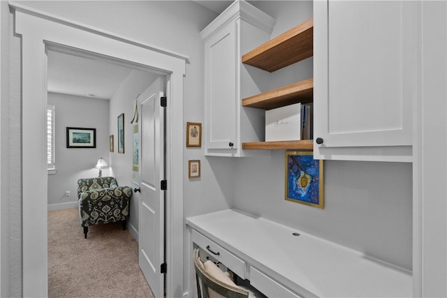 1909 Bareboot Trl, College Station, TX 77845 - laundry room with carpet flooring and baseboards