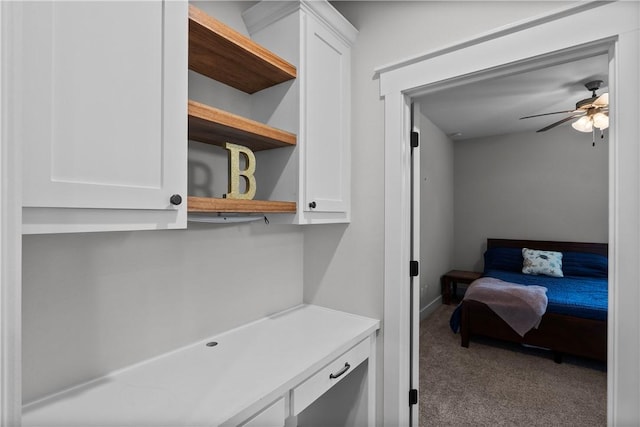1909 Bareboot Trl, College Station, TX 77845 - view of carpeted bedroom