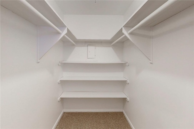 walk in closet with carpet floors