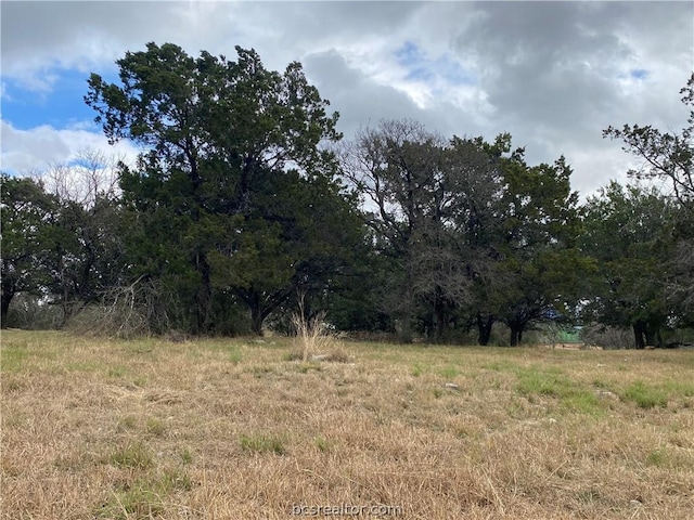 204 Canyon, Creek TX, 78657 land for sale