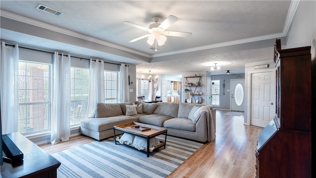 living room featuring ceiling fan with notable chandelier, visible vents, light wood finished floors, and ornamental molding