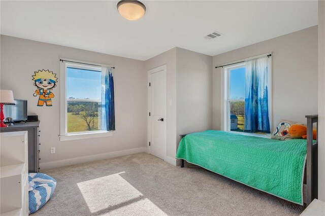 bedroom with carpet flooring