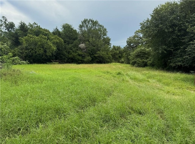 7123 W Boone Prairie Rd, Franklin, TX 77856 - photo 9