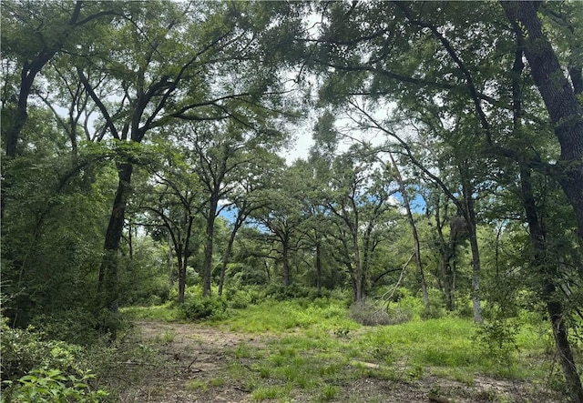 7123 W Boone Prairie Rd, Franklin, TX 77856 - photo 3