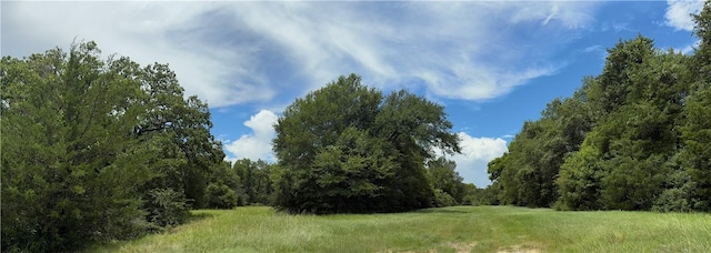 7123 W Boone Prairie Rd, Franklin, TX 77856 - photo 4