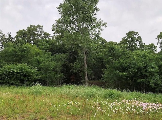 3994 Arboleda Dr, College Station, TX 77845 - photo 3