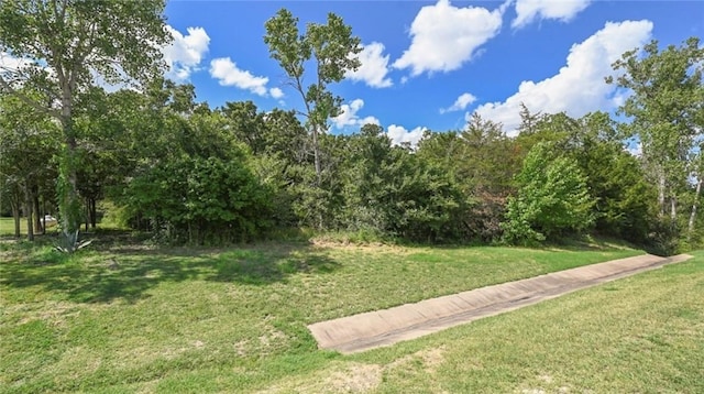 3994 Arboleda Dr, College Station, TX 77845 - photo 1