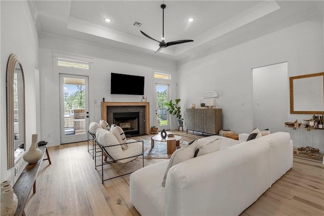 living room featuring plenty of natural light, a raised ceiling, and light wood-type flooring