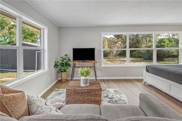 living room with light hardwood / wood-style floors, crown molding, and a wealth of natural light