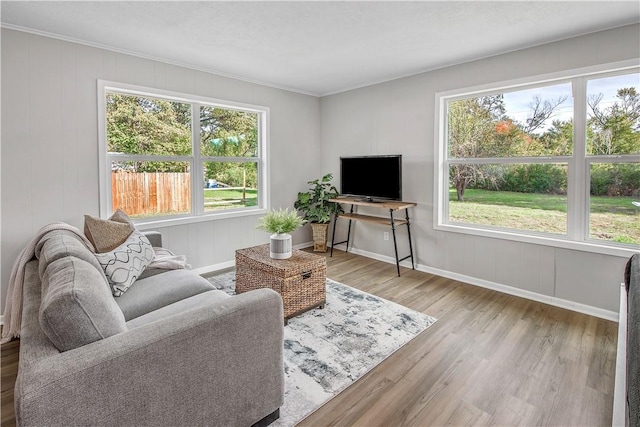 living room with light wood-type flooring, a wealth of natural light, and crown molding