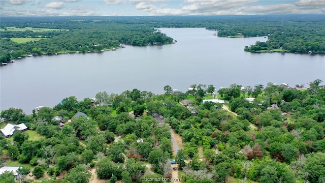 11452 Riley Green Rd, Franklin, TX 77856 - photo 32