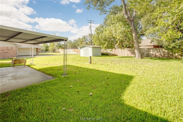 view of yard featuring a storage unit and a patio area