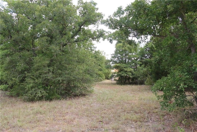 Listing photo 2 for 2004 R A Galindo Blvd, Bryan TX 77807