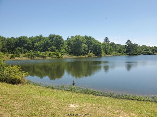 LOT33 Owl Dr, Hempstead TX, 77445 land for sale