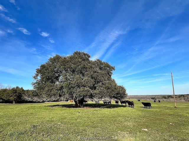 9785 Oil Field Rd, Brenham TX, 77833 land for sale