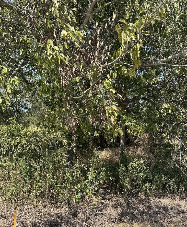 304 W Wharton St, Calvert, TX 77837