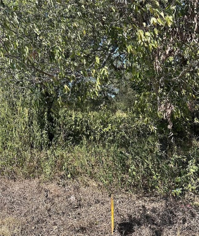304 W Wharton St, Calvert, TX 77837