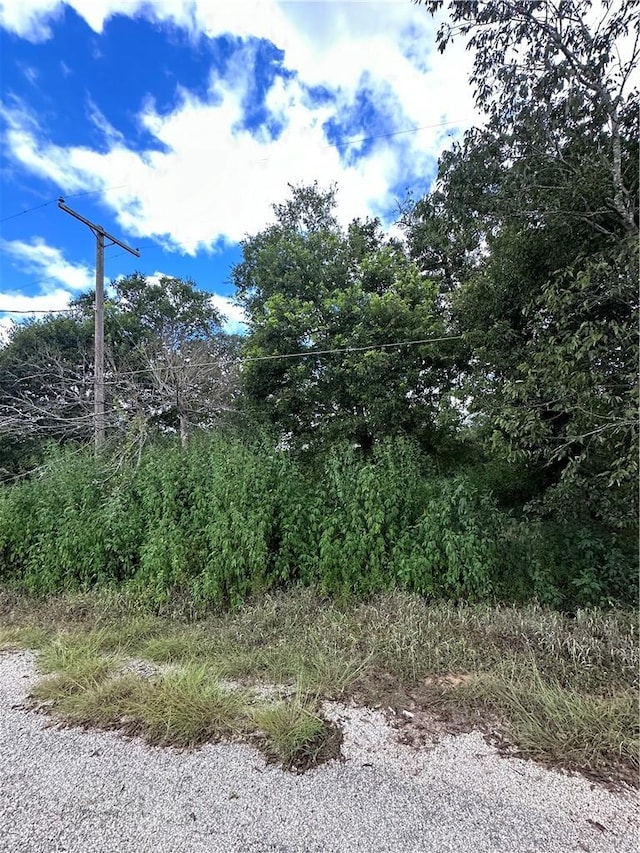 304 W Wharton St, Calvert TX, 77837 land for sale