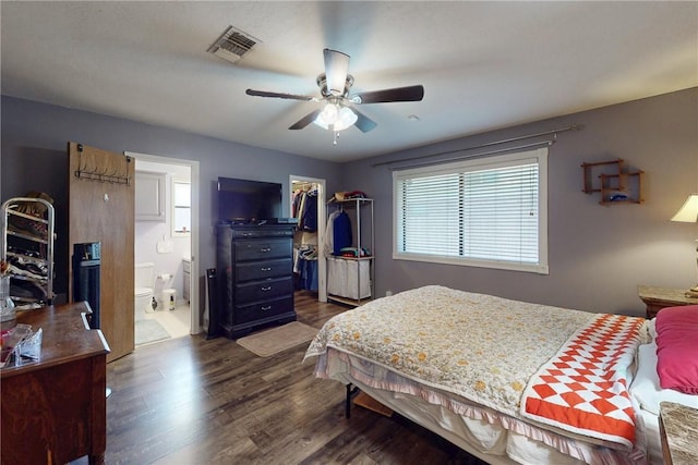 bedroom featuring visible vents, multiple windows, dark wood-type flooring, and a walk in closet