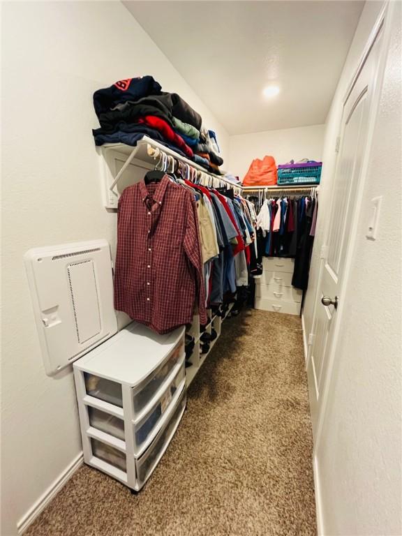 walk in closet with carpet flooring