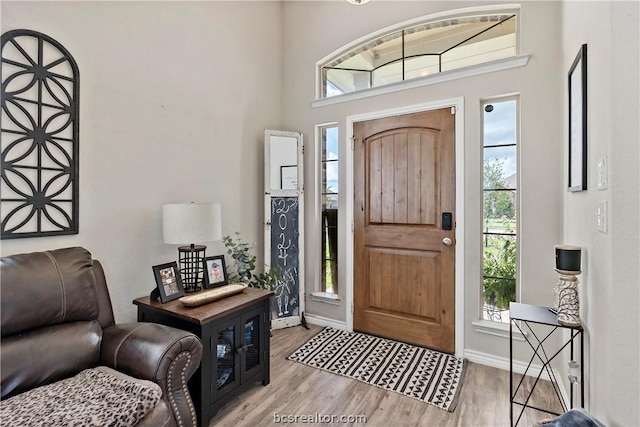 foyer entrance featuring light hardwood / wood-style flooring