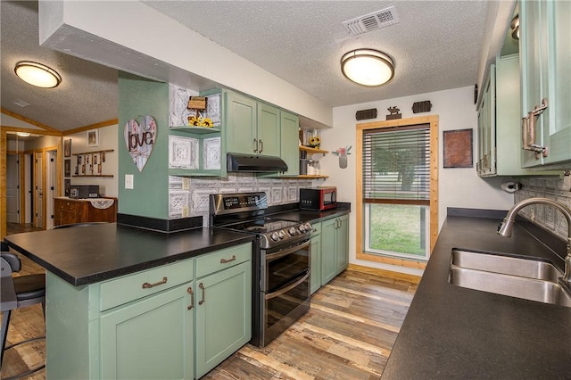 kitchen with tasteful backsplash, sink, double oven range, green cabinetry, and light hardwood / wood-style flooring