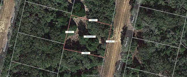 LOT32 Plum Ln, Hilltop Lakes TX, 77871 land for sale