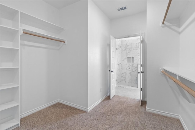 walk in closet with light colored carpet