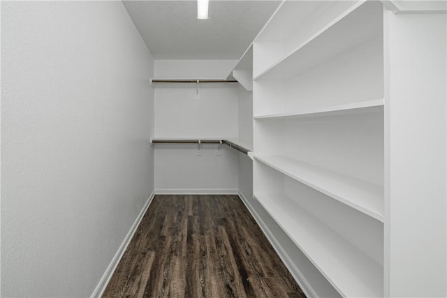 spacious closet with dark wood-style floors