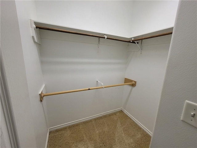 spacious closet with carpet floors