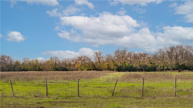 view of yard featuring a rural view