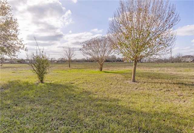 view of yard featuring a rural view