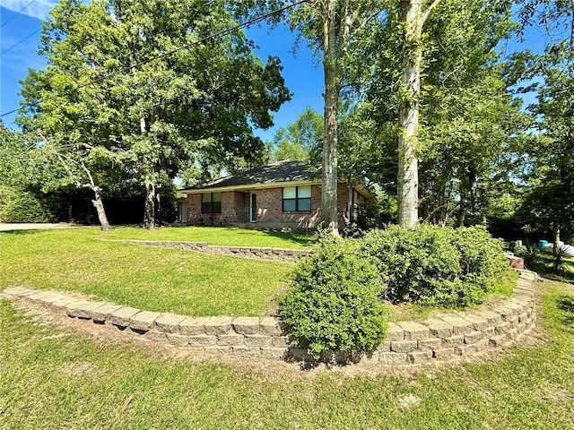 28 Sammy Snead Dr, Hilltop Lakes, TX 77871 - view of green lawn